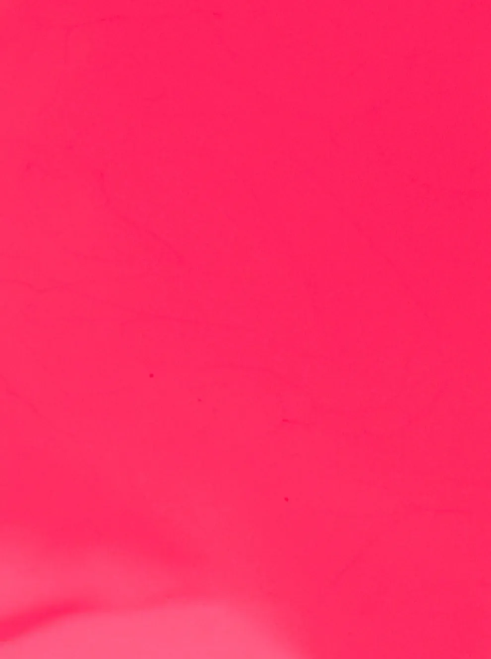 BKIND Nail Polish - Flamingo